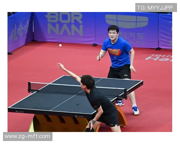 乒乓球的魅力与实力揭秘走进杭州乒乓球队的训练与辉煌之路